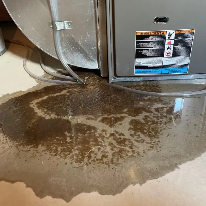 Pipe Burst and Leak Restoration in Berryville, VA